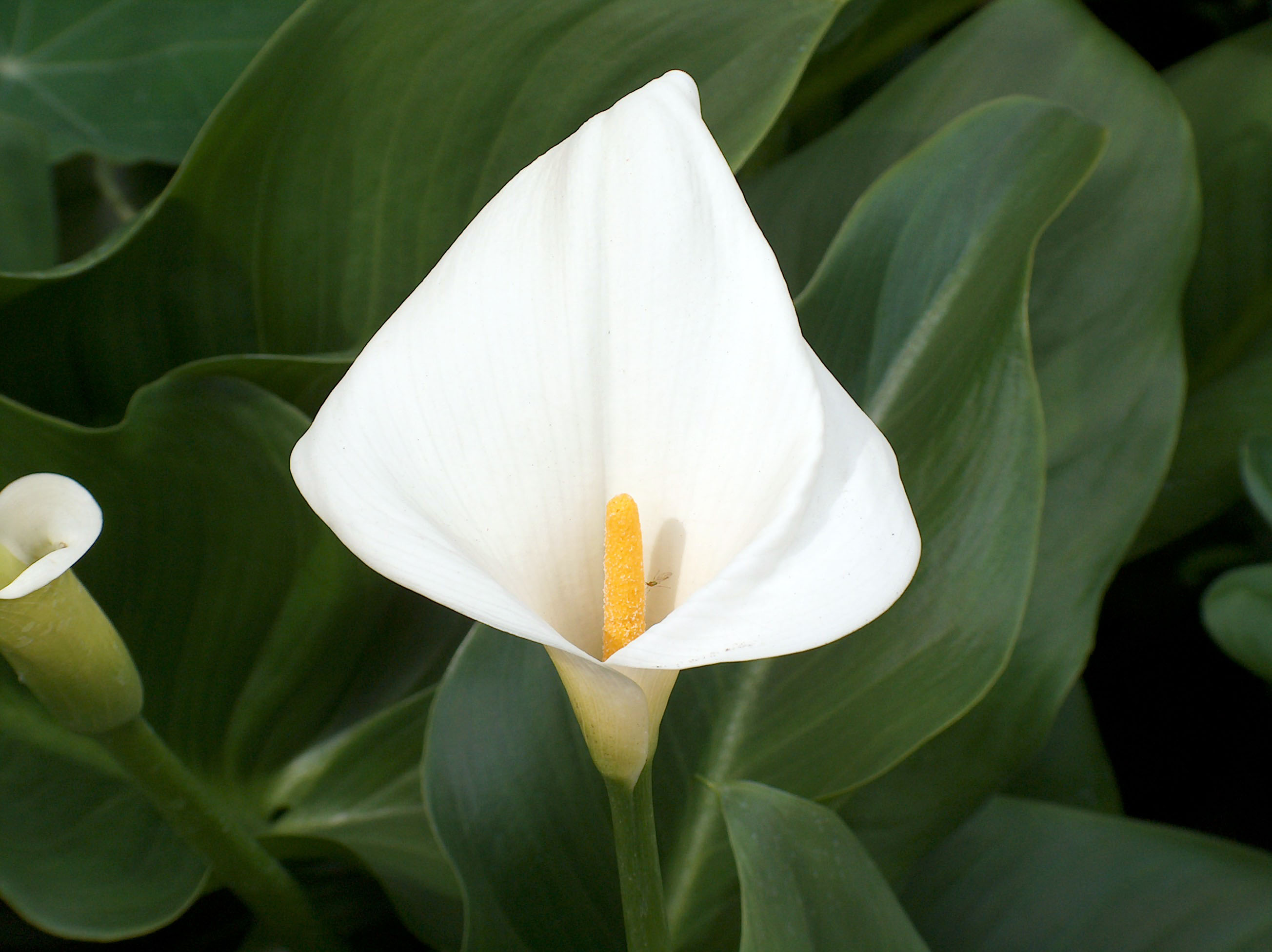 Historic Bernardo Winery grounds